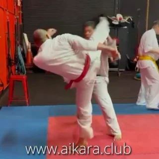 AIKARA KYOKUSHIN KARATE SCHOOL facility image