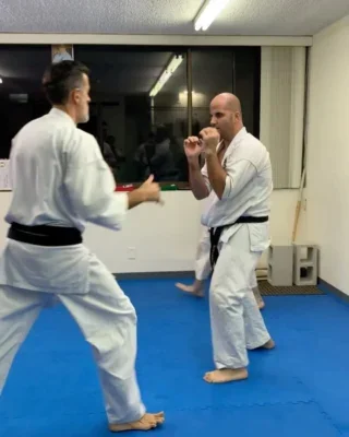 AIKARA KYOKUSHIN KARATE SCHOOL facility image