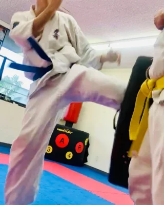 AIKARA KYOKUSHIN KARATE SCHOOL facility image