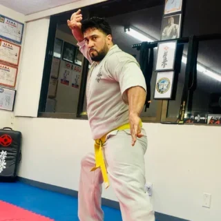 AIKARA KYOKUSHIN KARATE SCHOOL facility image