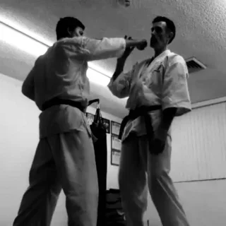 AIKARA KYOKUSHIN KARATE SCHOOL facility image