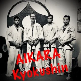 AIKARA KYOKUSHIN KARATE SCHOOL facility image