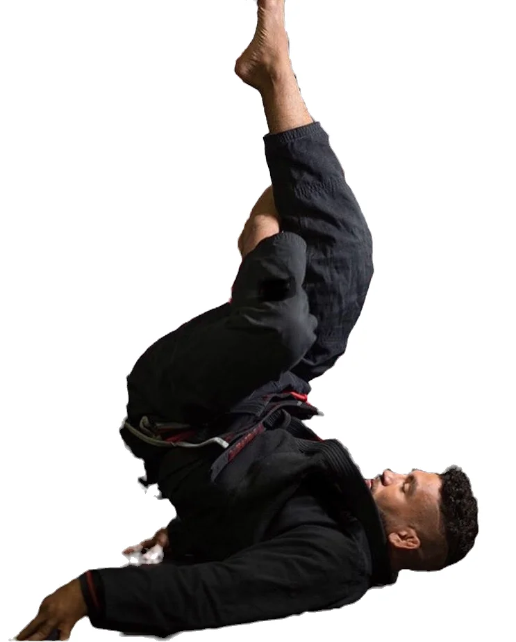 ALERS MARTIAL ARTS facility image