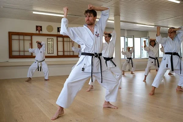American Dragon Karate facility image