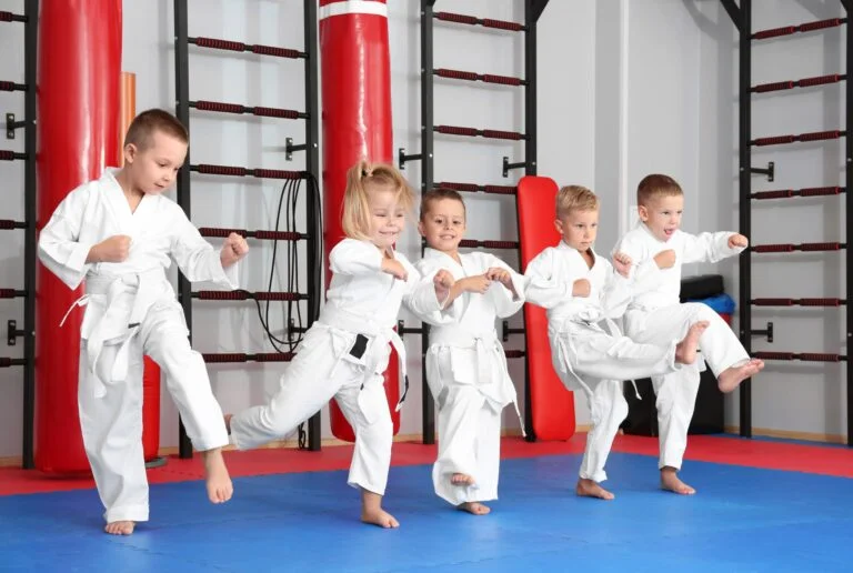 American Dragon Karate facility image