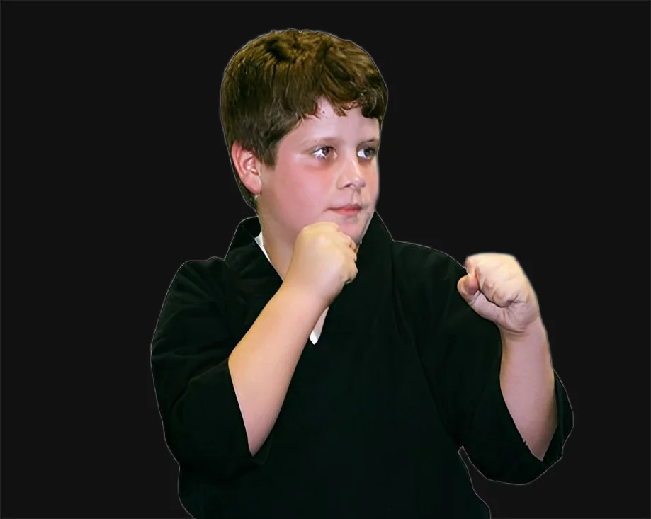 American Dragon Martial Arts Academy facility image