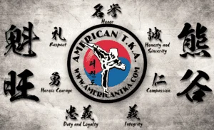American Taekwondo Academy (assumed from URL americantka.com) facility image