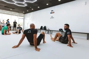 Apex Martial Arts and Fitness facility image