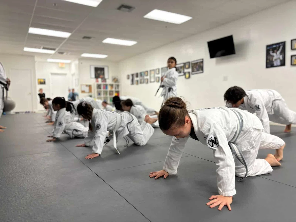AVIV Jiu Jitsu facility image