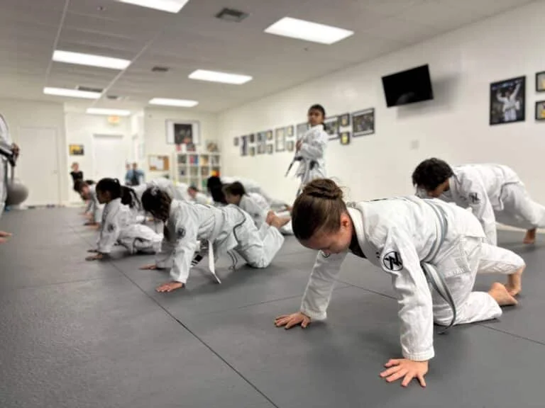AVIV Jiu Jitsu facility image