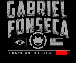 Brazilian Top Team - Jupiter academy logo
