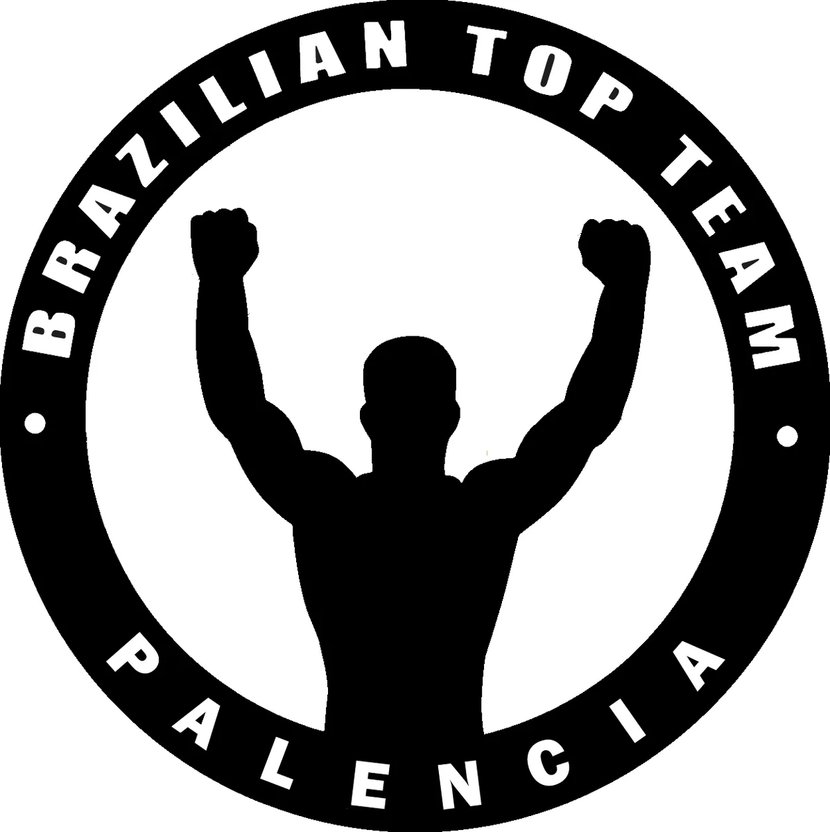 Brazilian Top Team Palencia academy logo