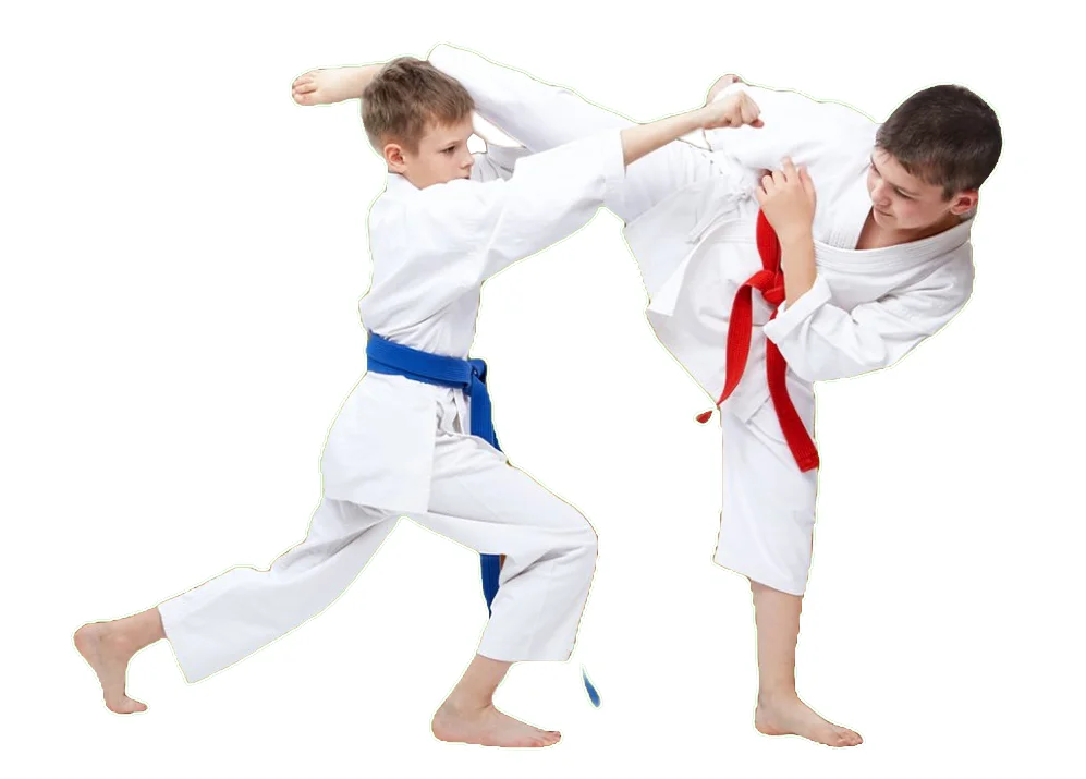 Champion's Mixed Martial Arts facility image