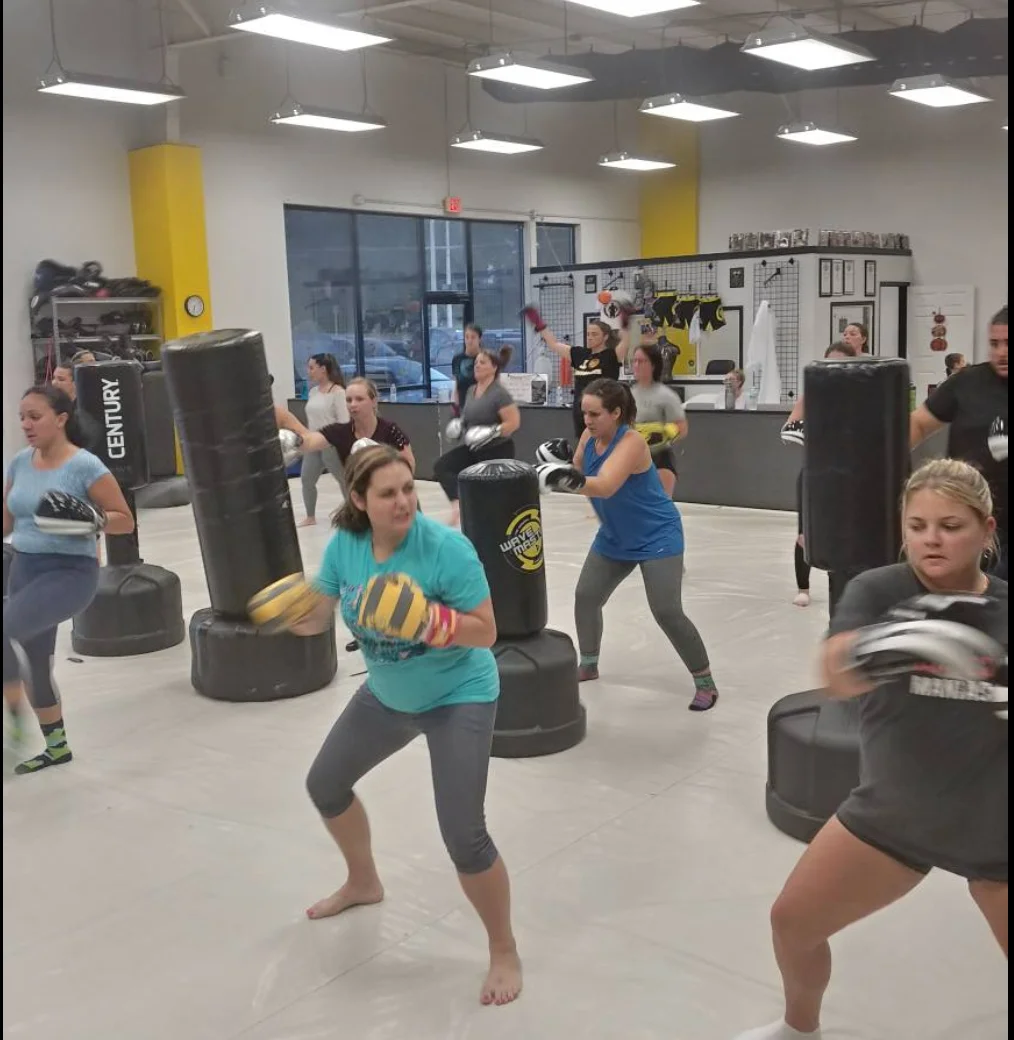 Champion's Mixed Martial Arts facility image
