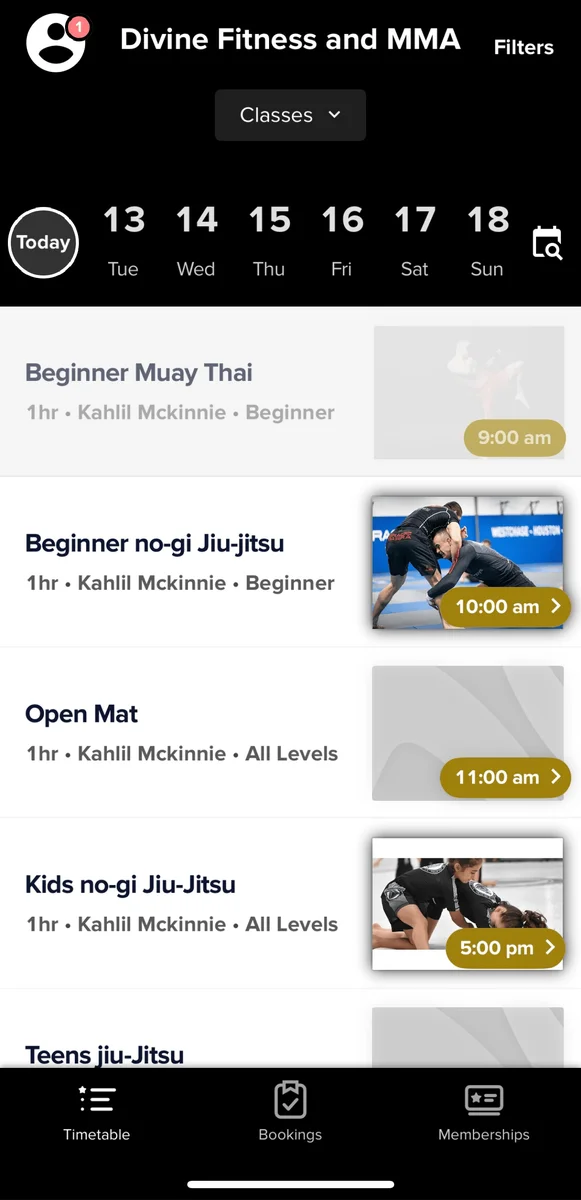 Divine Fitness and MMA facility image