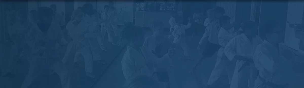 Elevate Martial Arts facility image