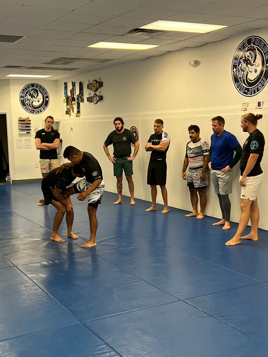 Elite Force BJJ facility image