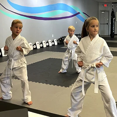 Elite Legacy Martial Arts facility image