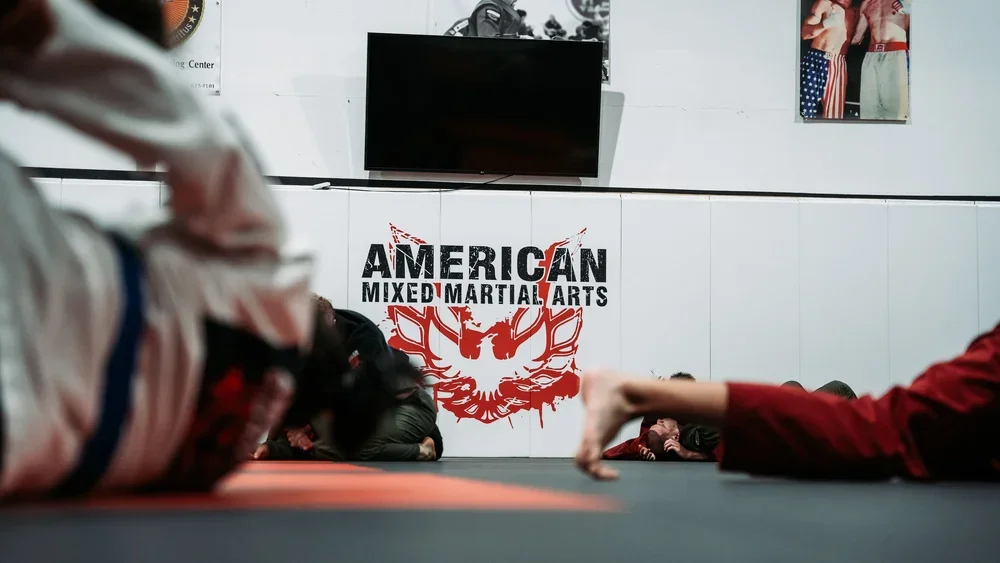 Elite Martial Arts & Fitness / American Mixed Martial Arts facility image