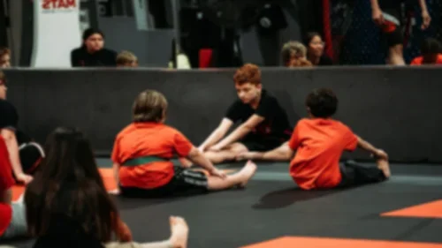 Elite Martial Arts & Fitness / American Mixed Martial Arts facility image