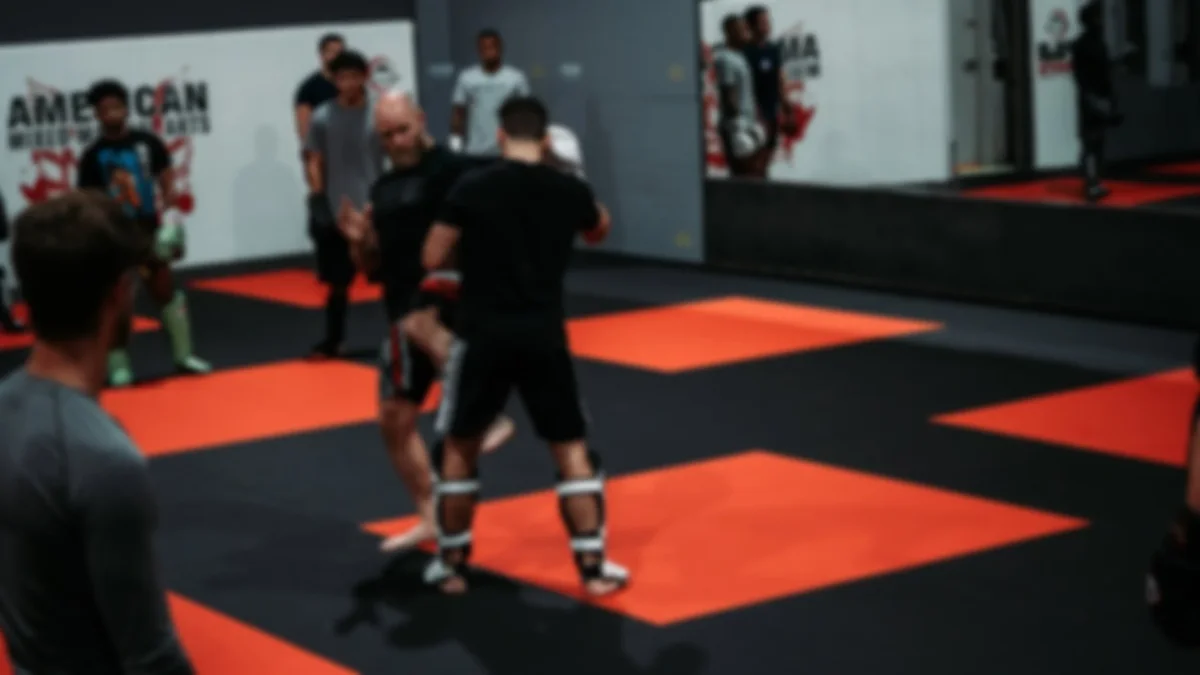 Elite Martial Arts & Fitness / American Mixed Martial Arts facility image