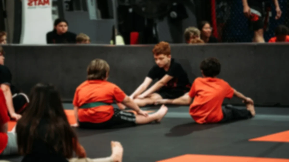 Elite Martial Arts & Fitness / American Mixed Martial Arts facility image