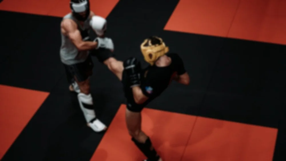 Elite Martial Arts & Fitness / American Mixed Martial Arts facility image
