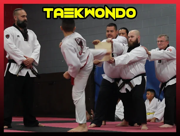 Evolution Martial Arts facility image