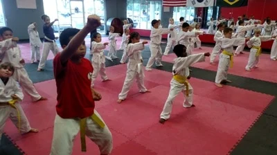 Evolution Martial Arts facility image