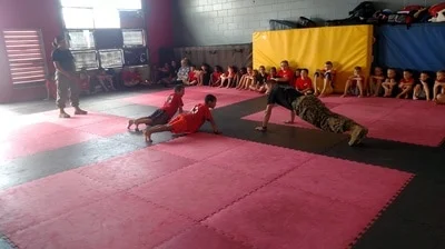 Evolution Martial Arts facility image