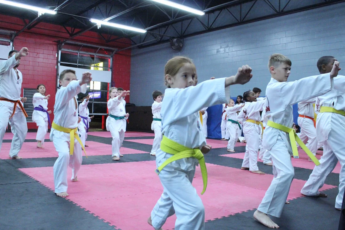 Evolution Martial Arts facility image