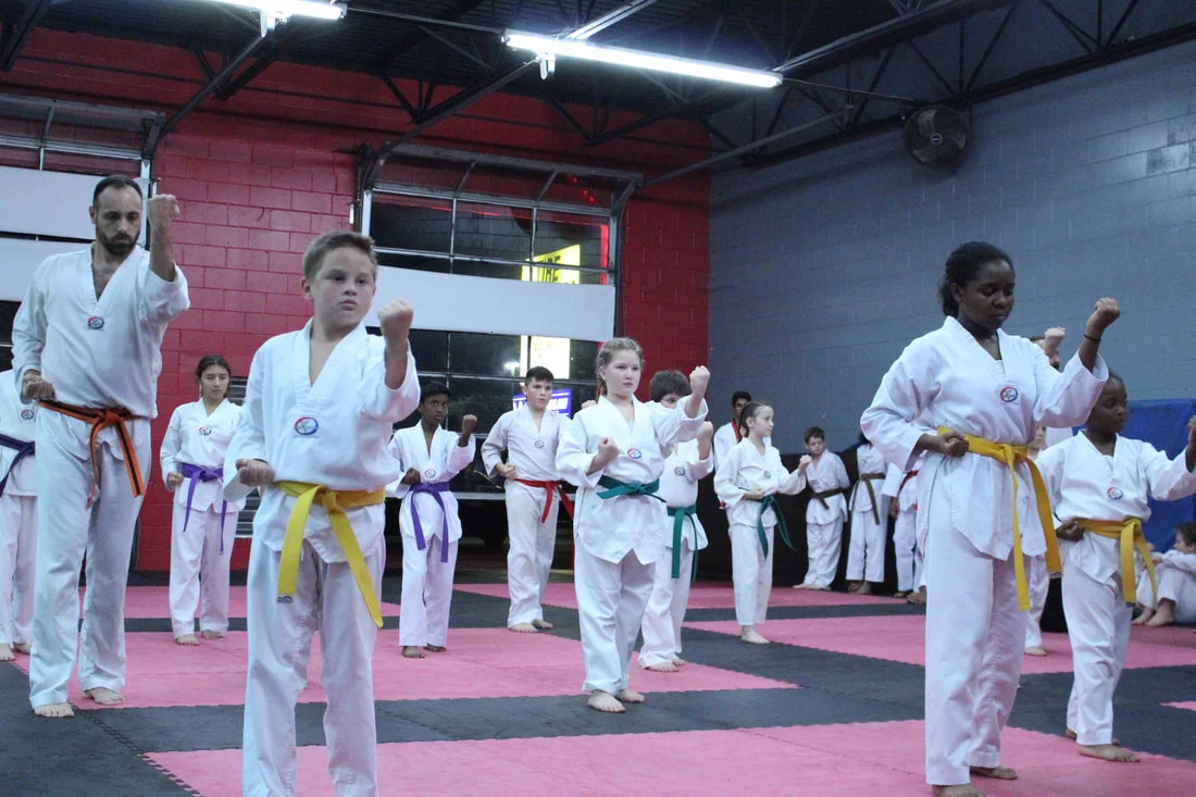 Evolution Martial Arts facility image
