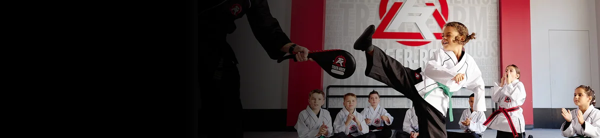 Finney's Tiger Rock Martial Arts Academy academy logo