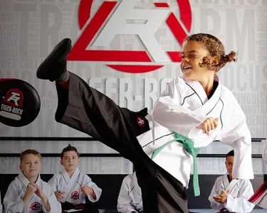 Finney's Tiger Rock Martial Arts Academy facility image