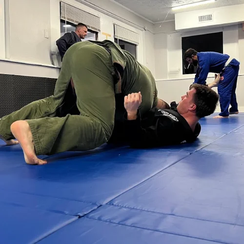 Gator Bridge BJJ facility image