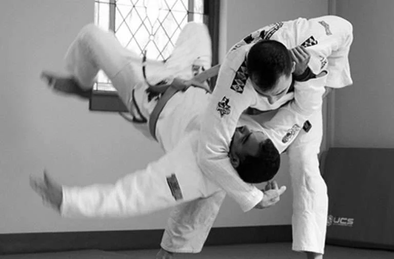 Gentle Art Dojo Florida facility image