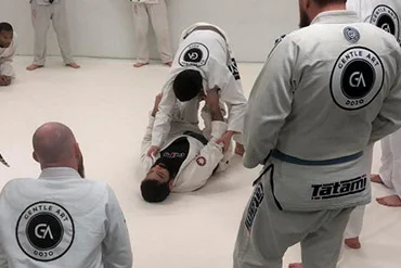 Gentle Art Dojo Florida facility image