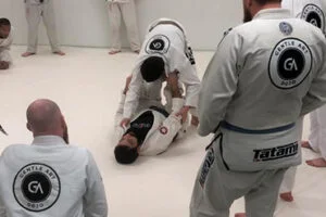 Gentle Art Dojo Florida facility image