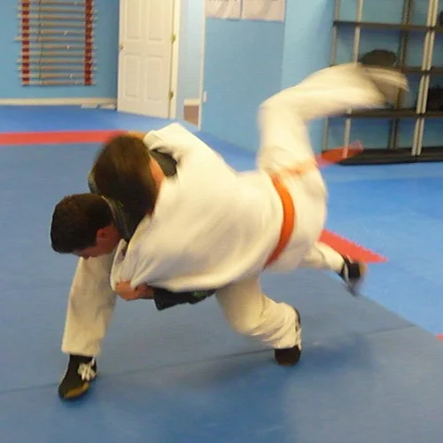 Goshin Combat JuJitsu facility image