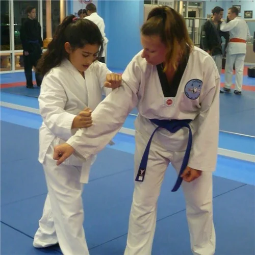 Goshin Combat JuJitsu facility image