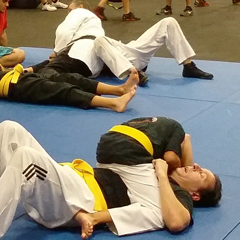 Goshin Combat JuJitsu facility image
