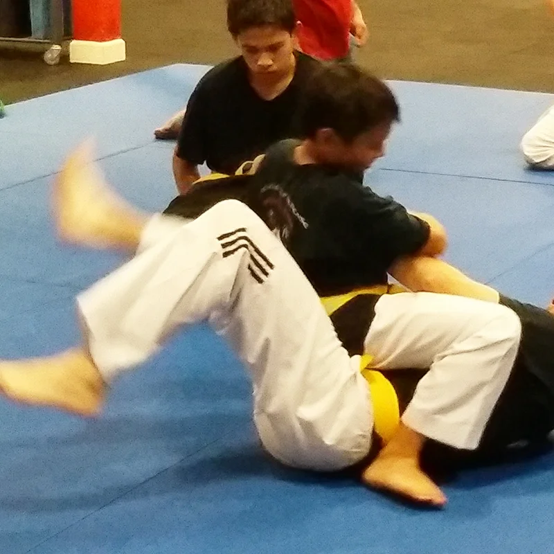 Goshin Combat JuJitsu facility image
