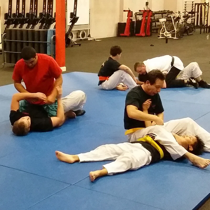 Goshin Combat JuJitsu facility image