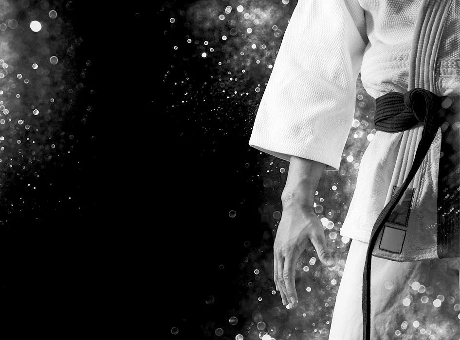 Lazic Martial Arts & Fitness facility image