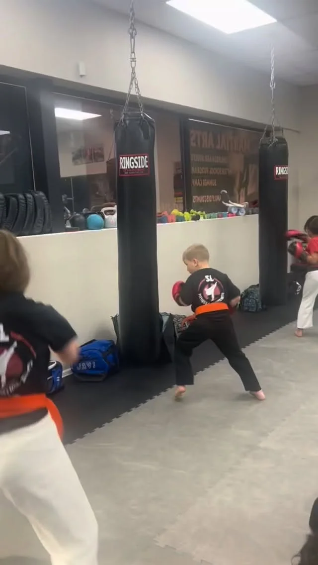 Lazic Martial Arts & Fitness facility image