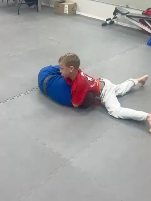 Lazic Martial Arts & Fitness facility image