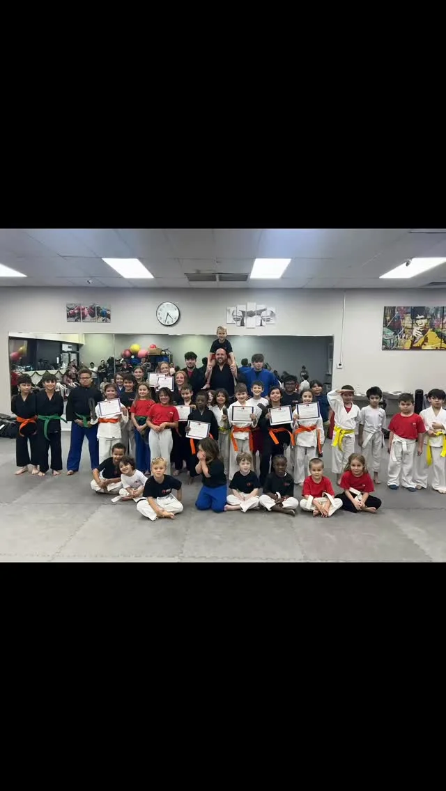 Lazic Martial Arts & Fitness facility image