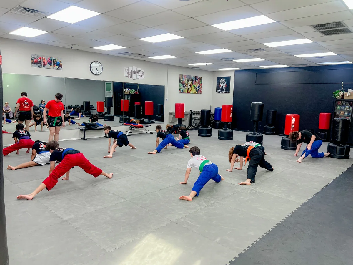 Lazic Martial Arts & Fitness facility image