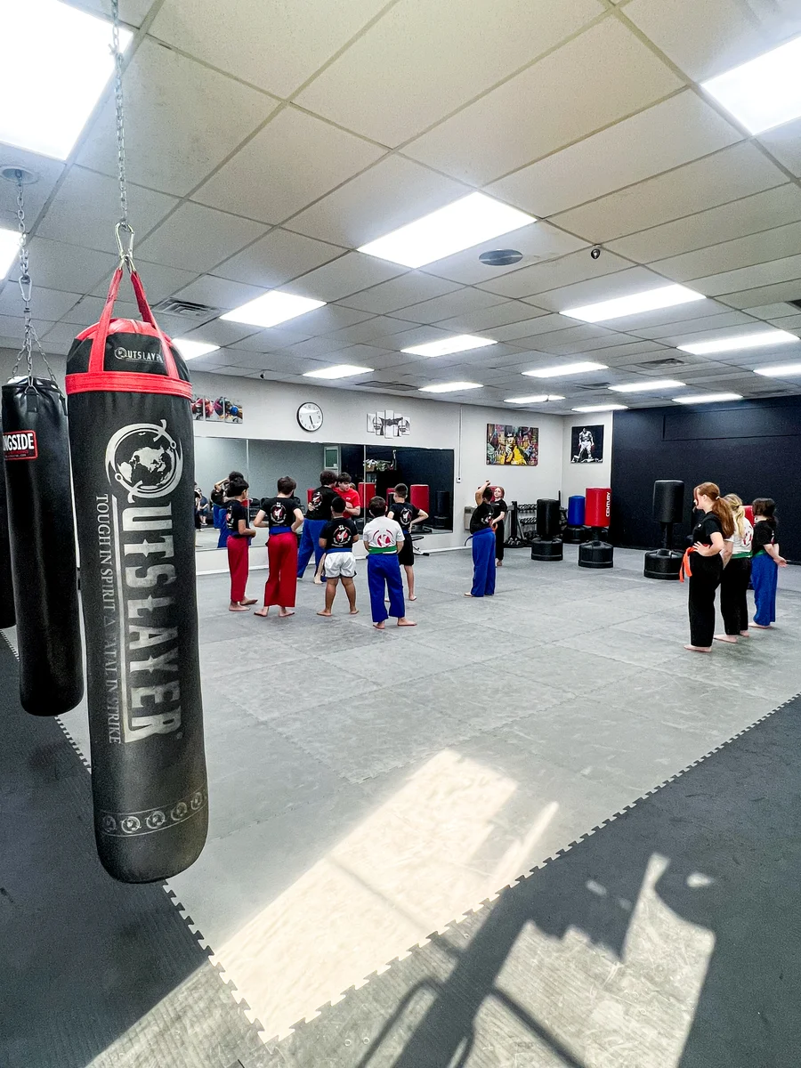 Lazic Martial Arts & Fitness facility image