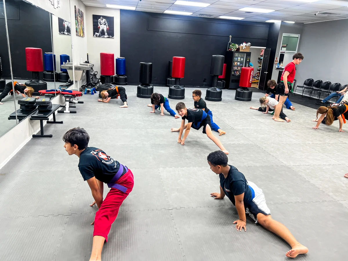 Lazic Martial Arts & Fitness facility image